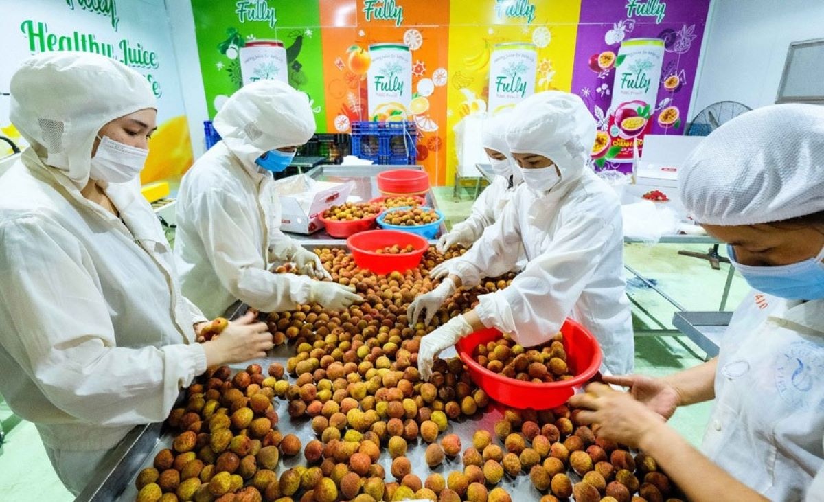 Chứng Nhận &amp; Chứng Chỉ